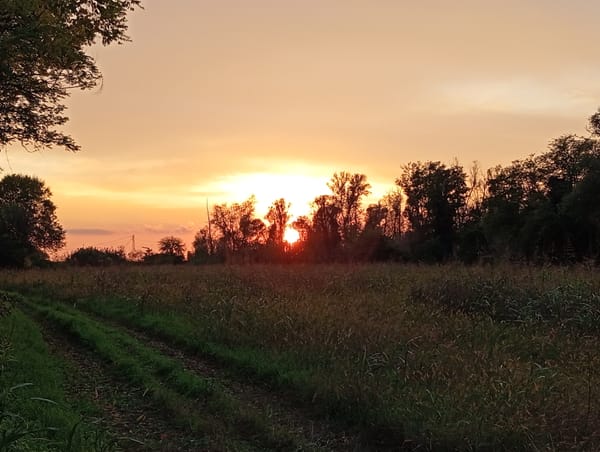 Come scrivere un romanzo di fantascienza?